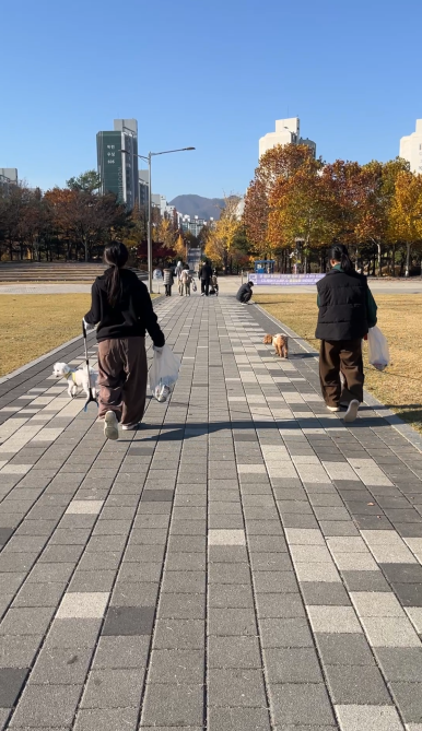 공익활동 사례 게시물에 첨부된 이미지