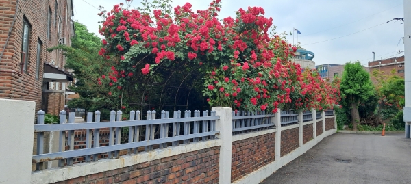 공익활동 사례 게시물에 첨부된 이미지